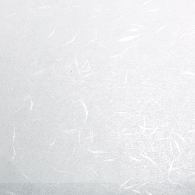 PPC�R�s�[�V��玆 A3 ��