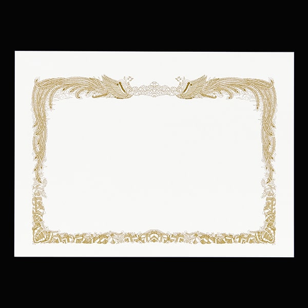 �܏�p�� B5���C�h �P���gCoC ���� KY  ��