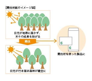 間伐材紙